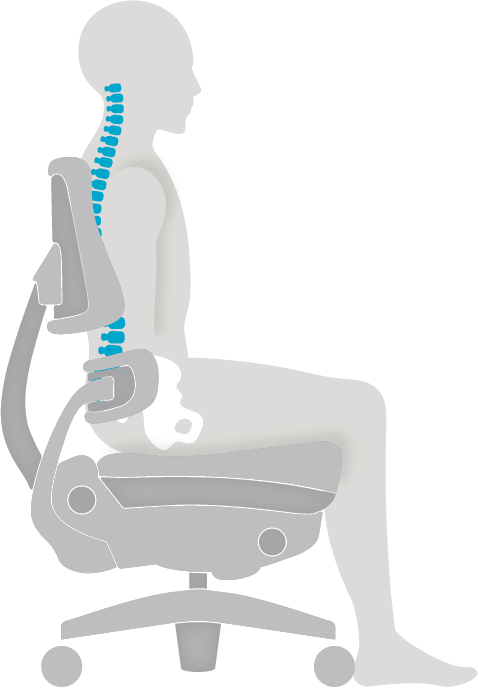 best_posture_outline best_posture_outline