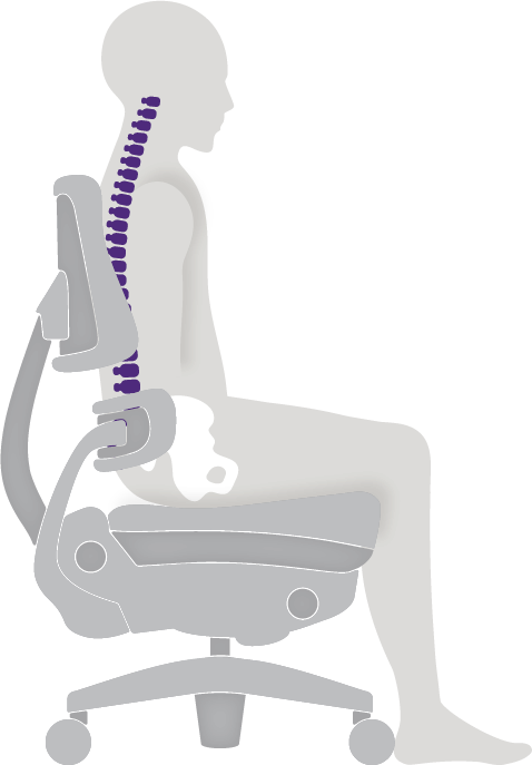better_posture_outline better_posture_outline