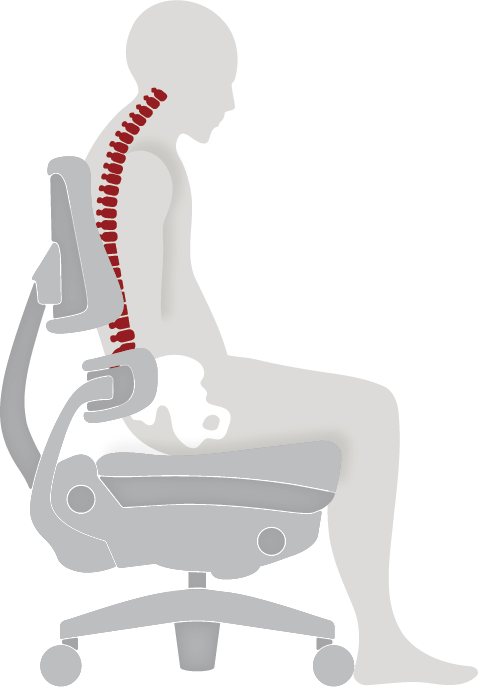 initial_posture_outline initial_posture_outline