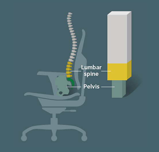 lumbar-spine-pelvis