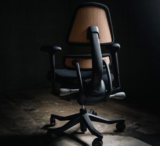Anthros Chair Price